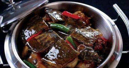 刘大瓜吃烤甲鱼视频大全,美食诱惑，味蕾盛宴