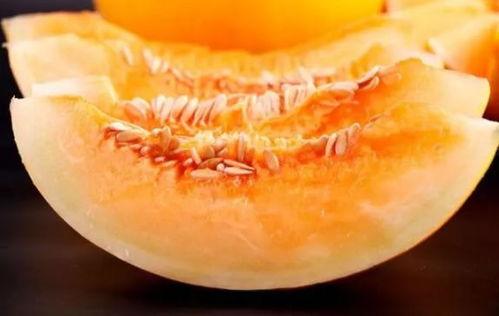 甘肃人吃蜜瓜视频播放器,甘肃蜜瓜视频播放器里的甜蜜之旅