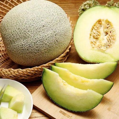 龙纹蜜瓜要放软吃吗视频,口感与营养的双重享受
