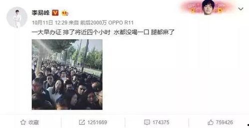 明星吃瓜的故事大全视频,那些年我们一起追的瓜